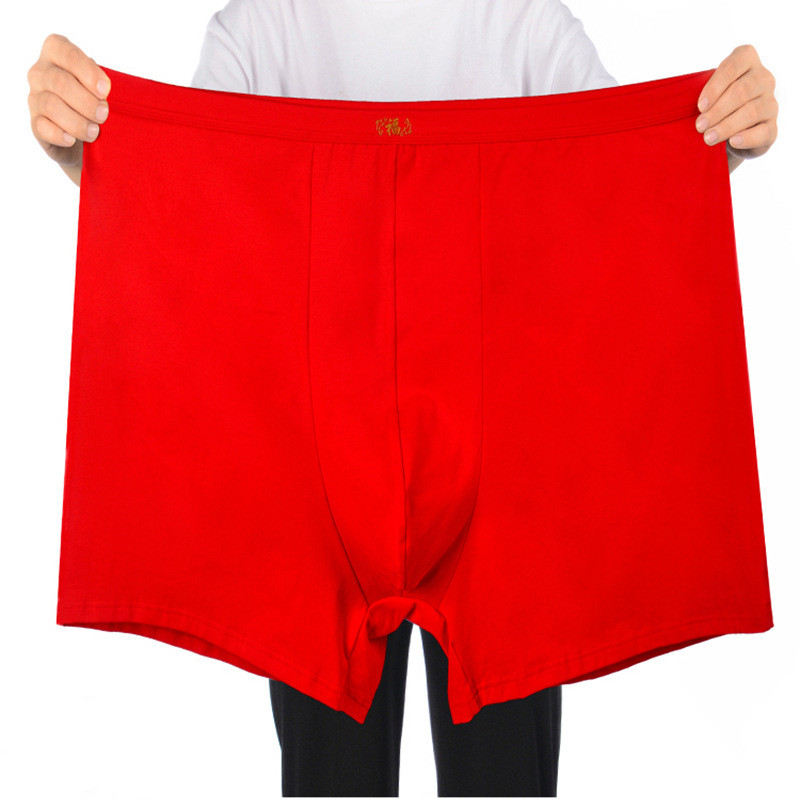 Pure Cotton Underwear Men Over - Boxer Brief Pack Cotton recension och pris